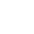 LI icon